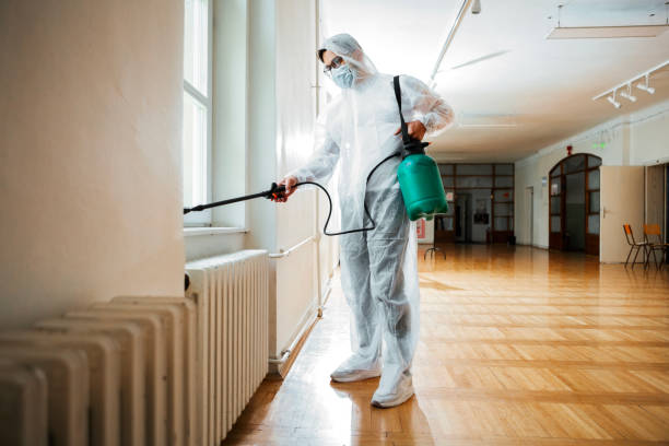 Best Cockroach Control Services  in Otis Orchards East Farms, WA