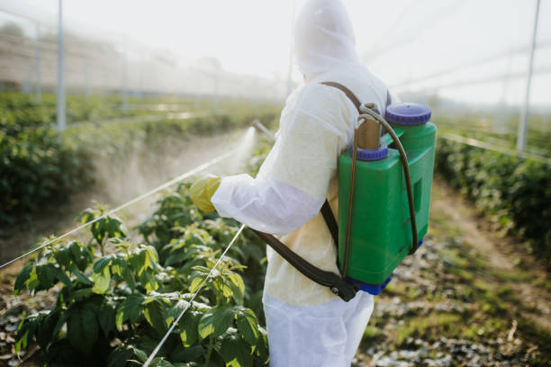 Best Best Pest Control Companies  in Otis Orchards East Farms, WA